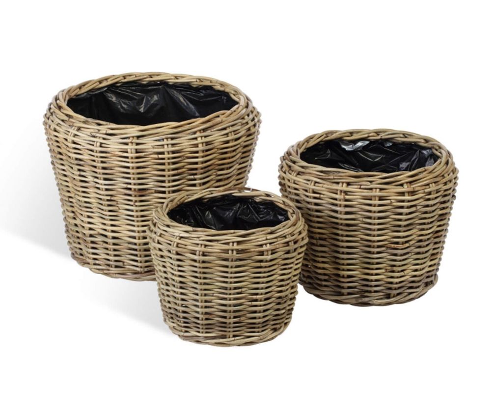 Desser Lined Plant Baskets (Set of 3)